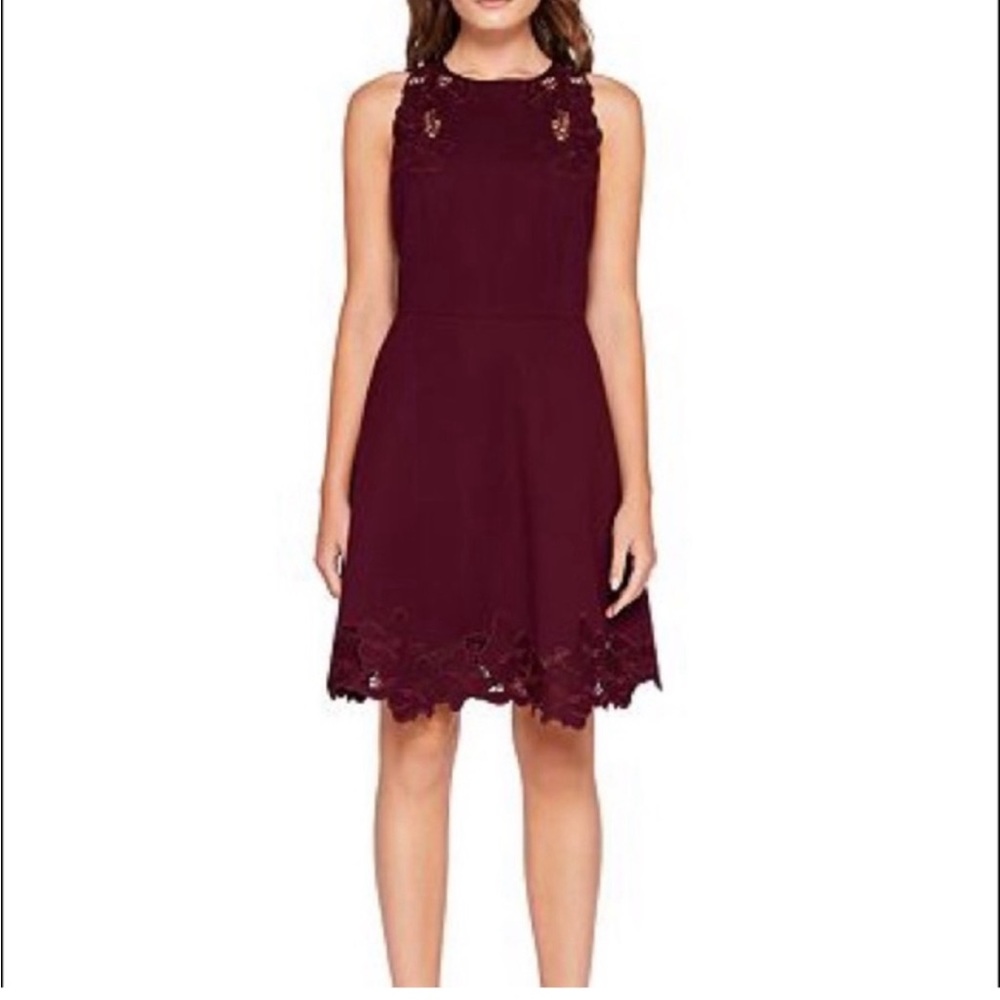 NWT -Ted Baker Maroon Emmona Embroidered Skater Dress with pockets!